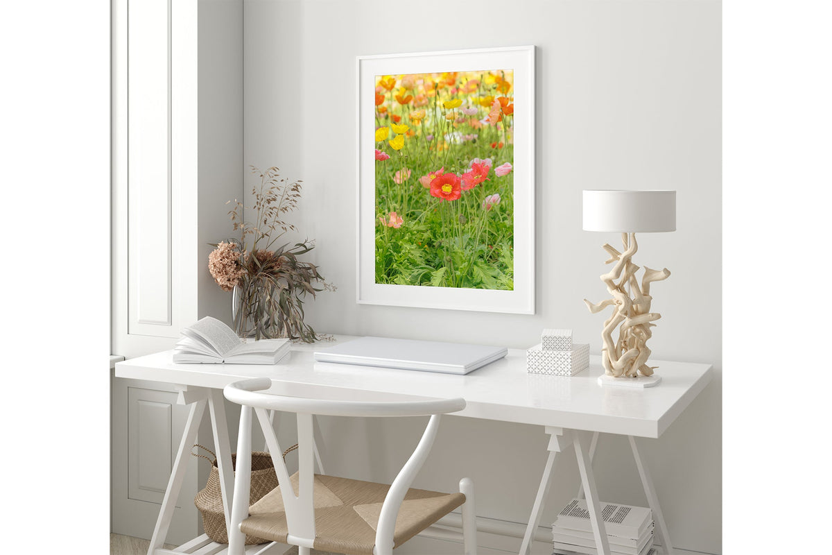 Iceland poppy print shown framed in white.