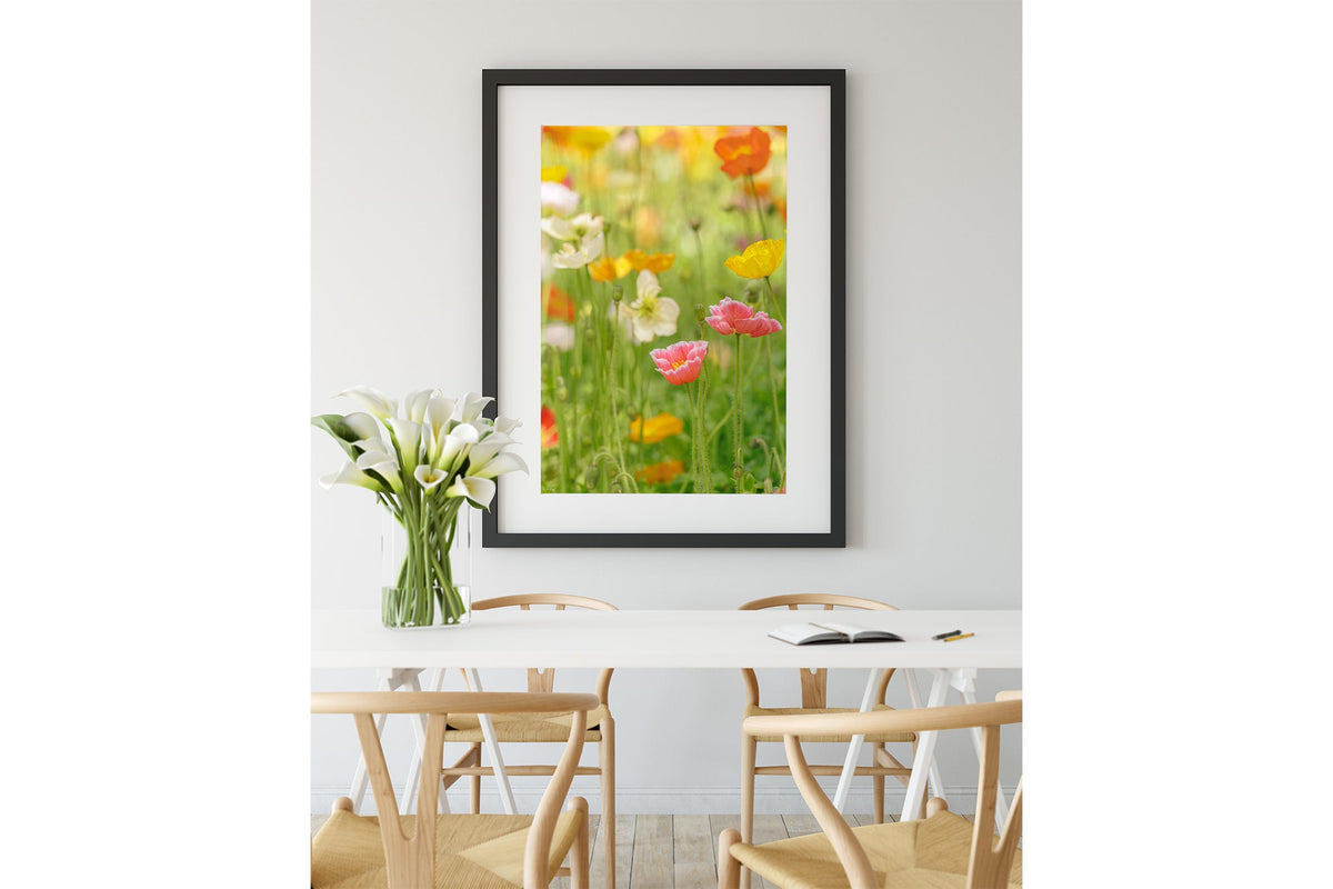Soft poppy print shown framed in black.