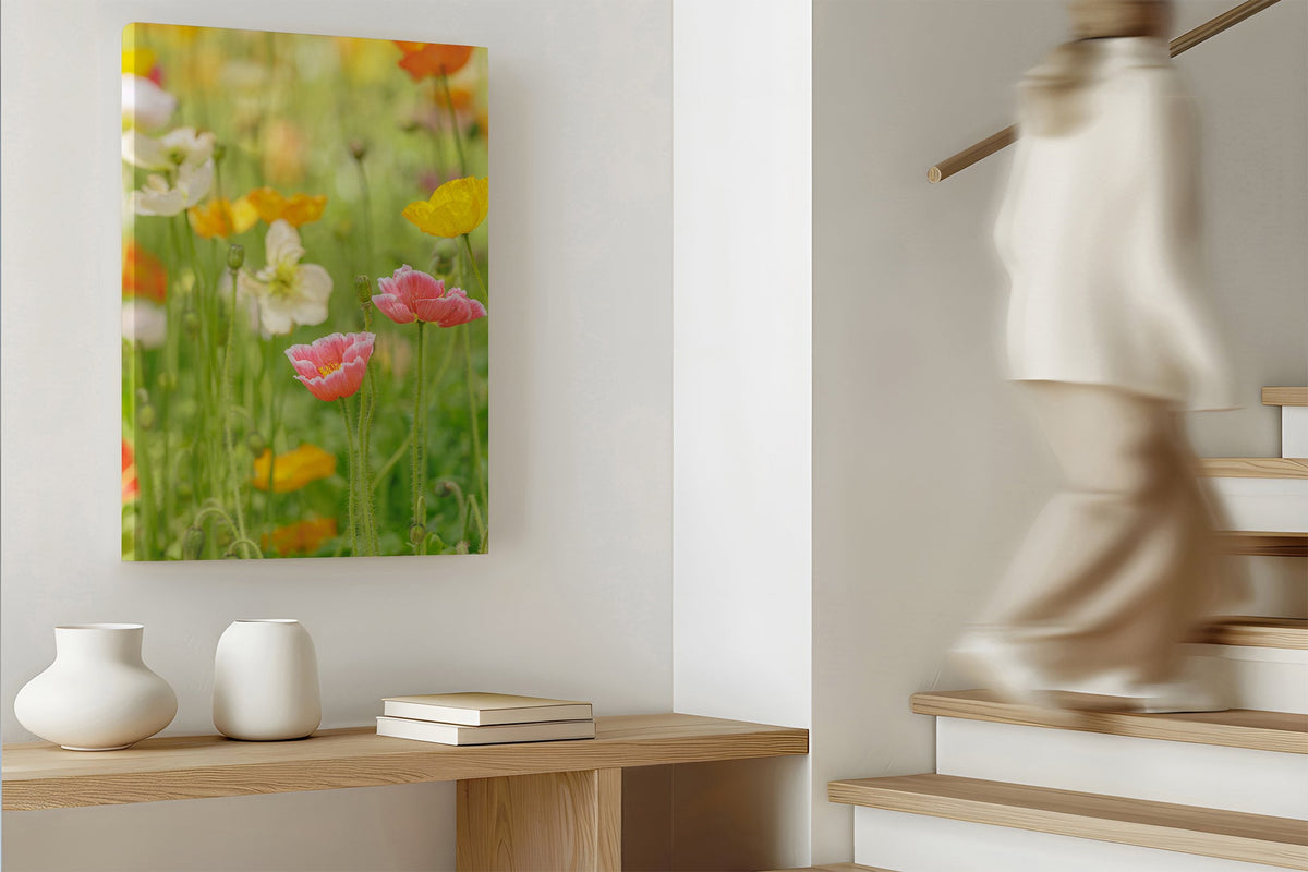Soft poppy print shown as a canvas print.