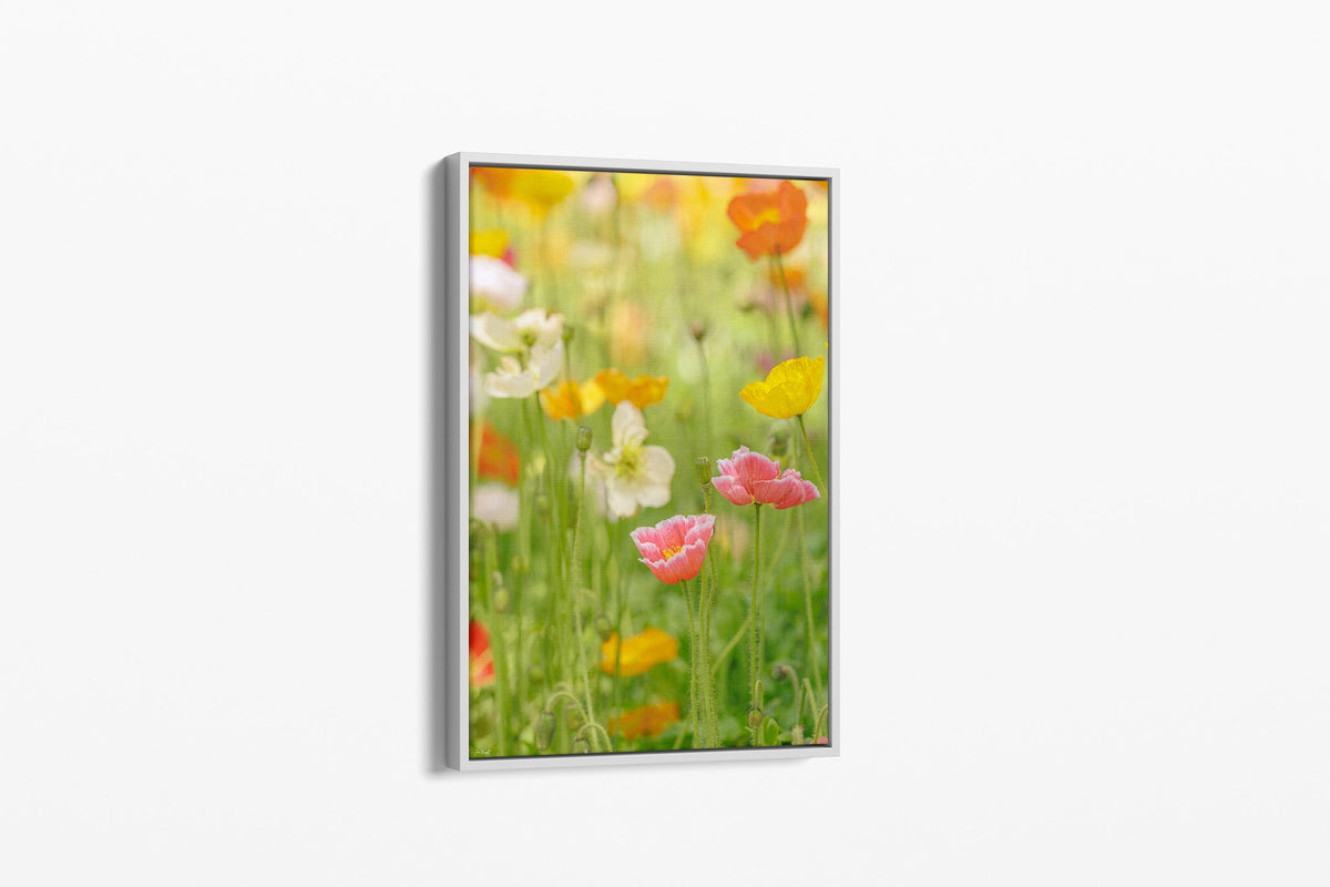Soft poppy print shown as a canvas in a white float frame.