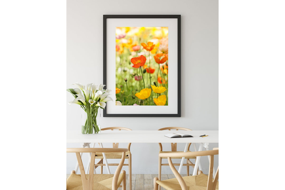 Orange poppy print shown framed in black.