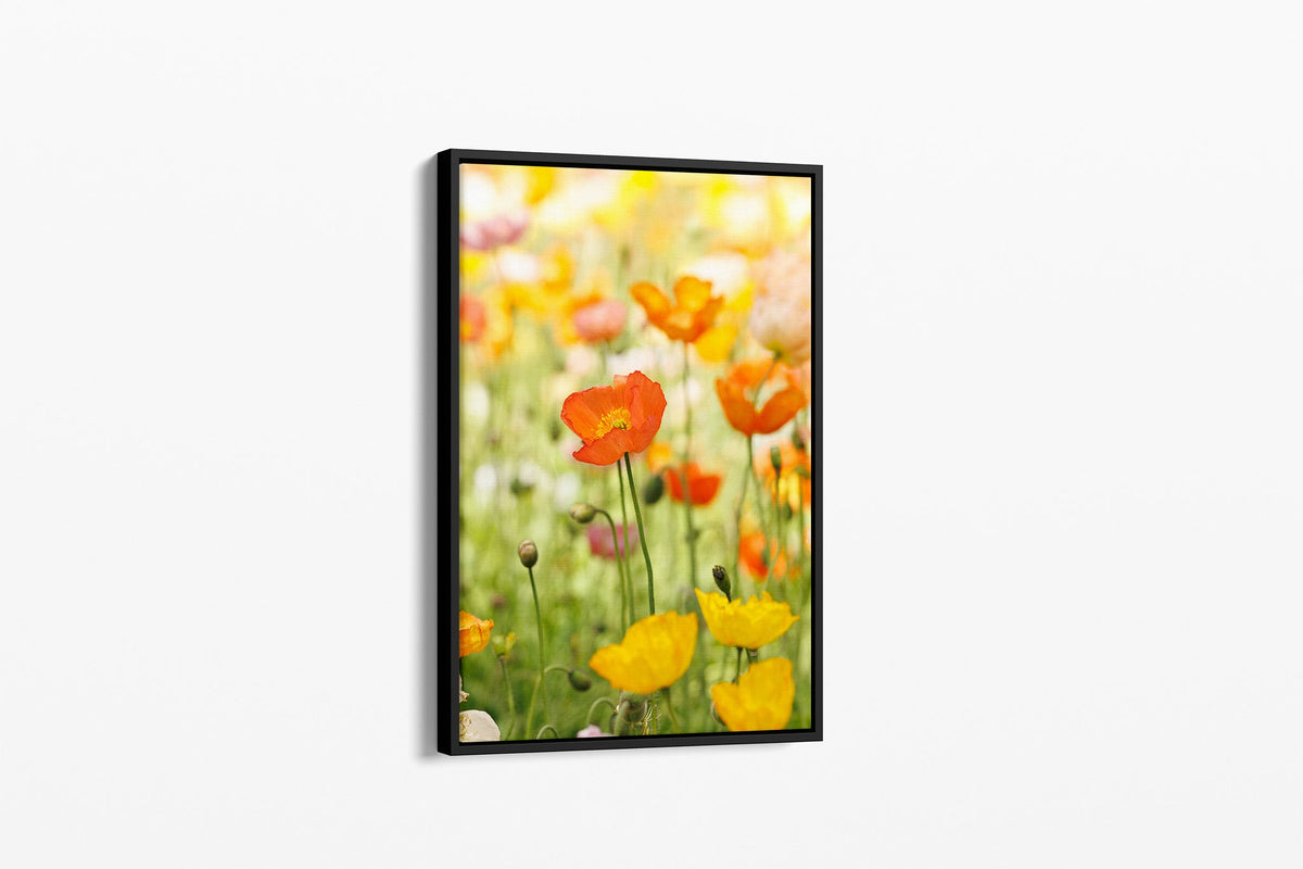 Orange poppy print shown as a canvas in a black float frame.