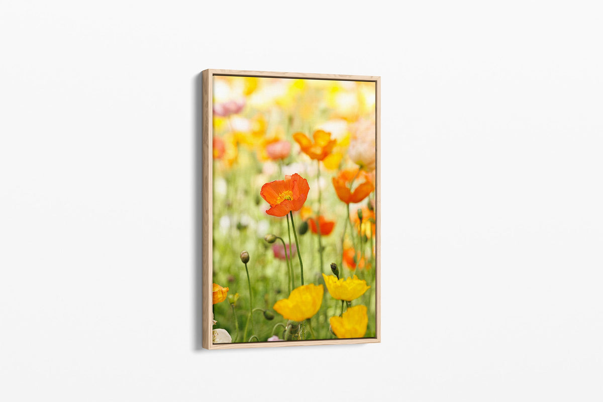Orange poppy print shown as a canvas in an oak float frame.