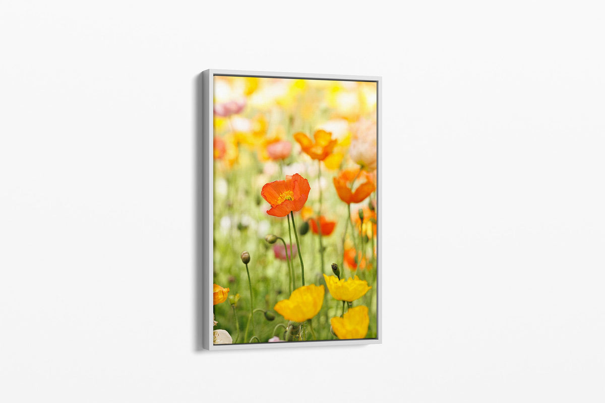 Orange poppy print shown as a canvas in a white float frame.