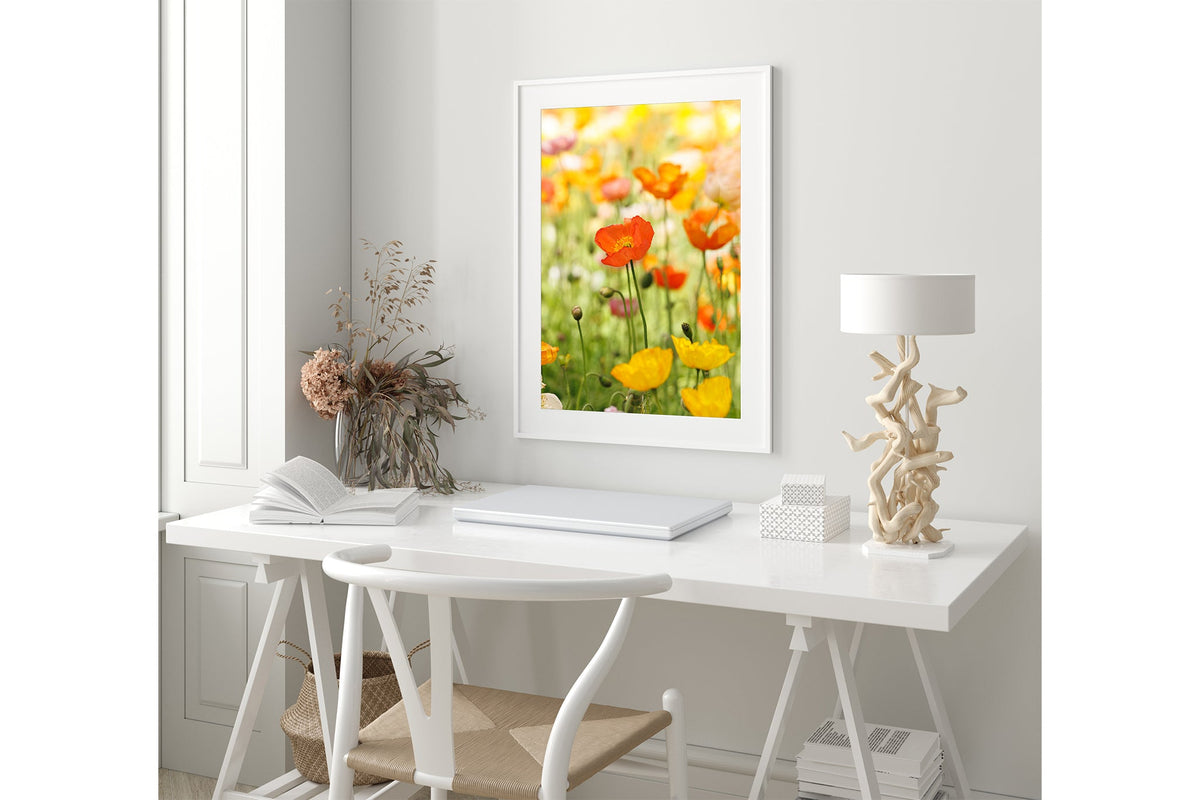 Orange poppy print shown framed in white.