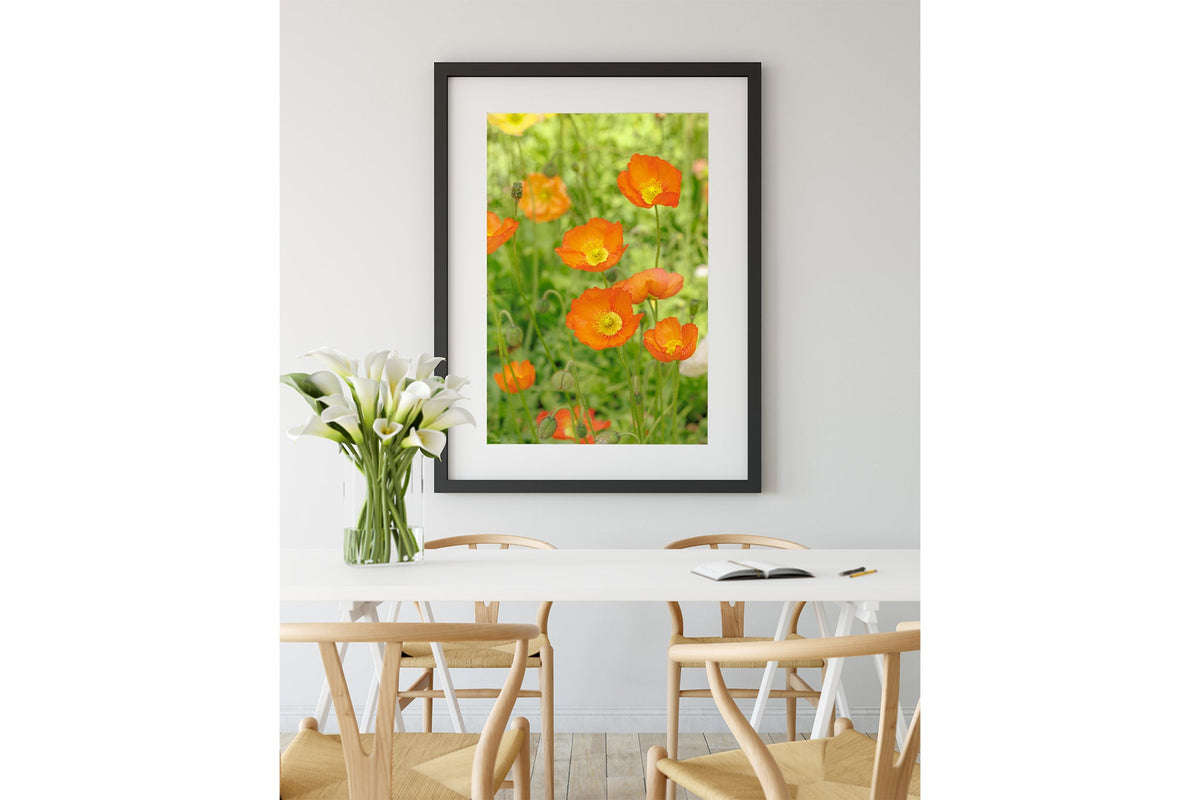 Orange poppy patch print shown framed in black.