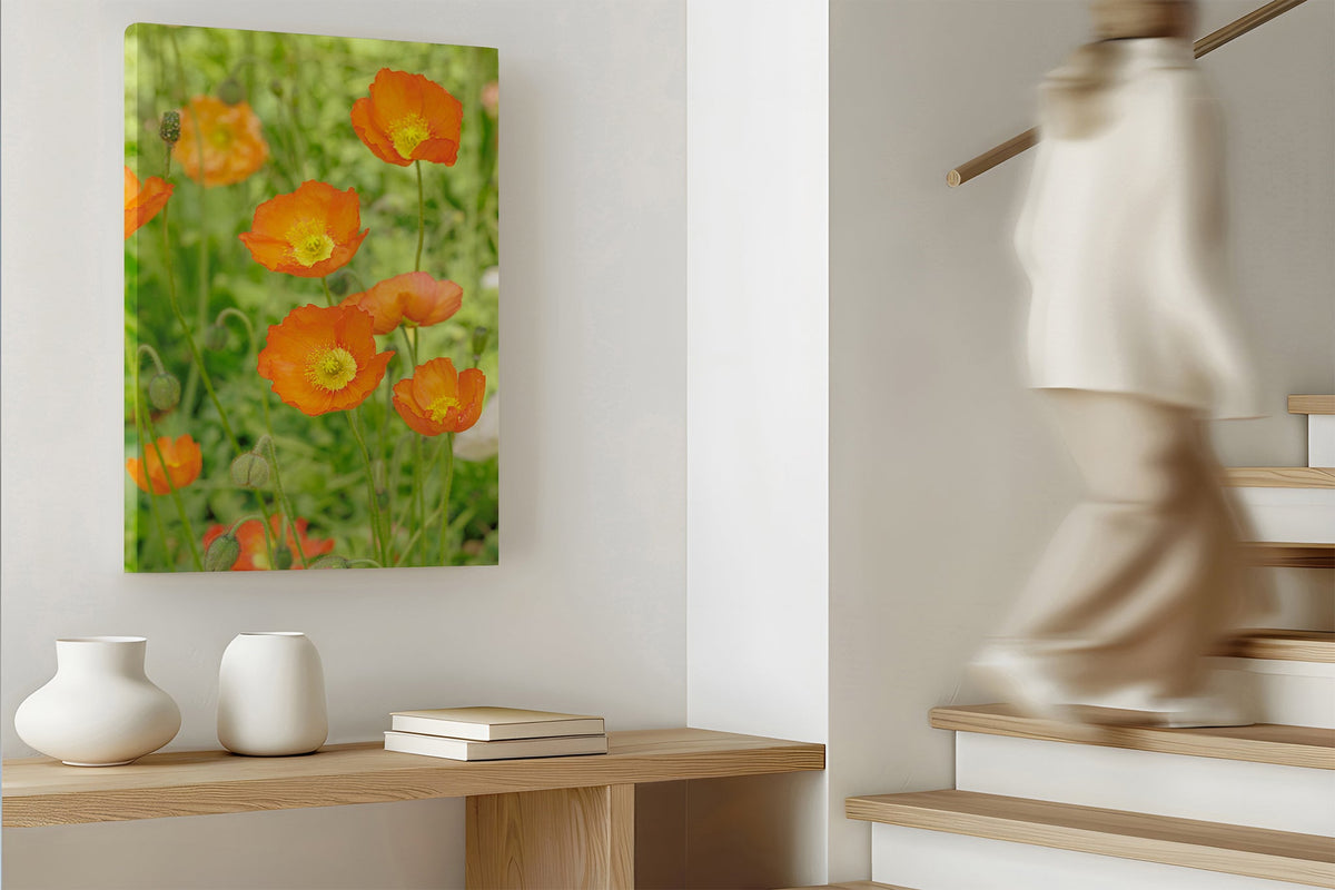 Orange poppy patch print shown as a canvas print.