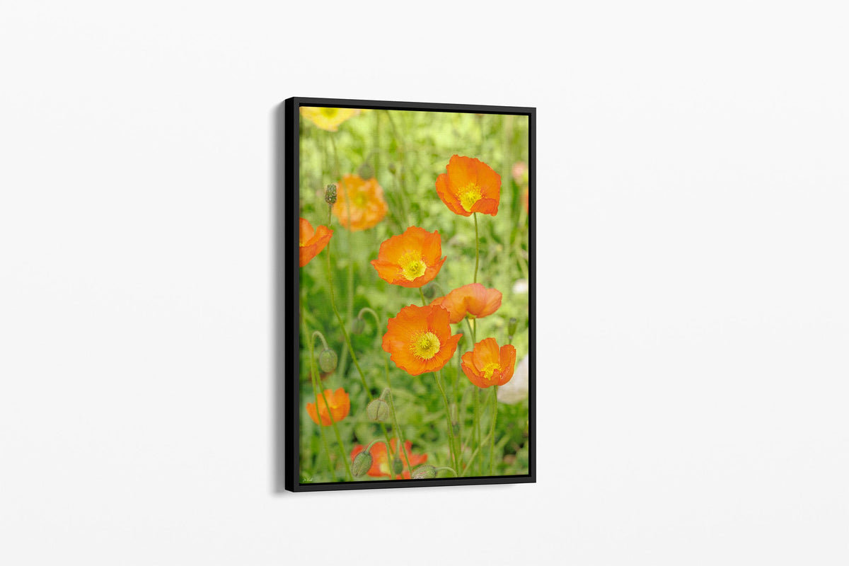 Orange poppy patch print shown as a canvas in a black float frame.