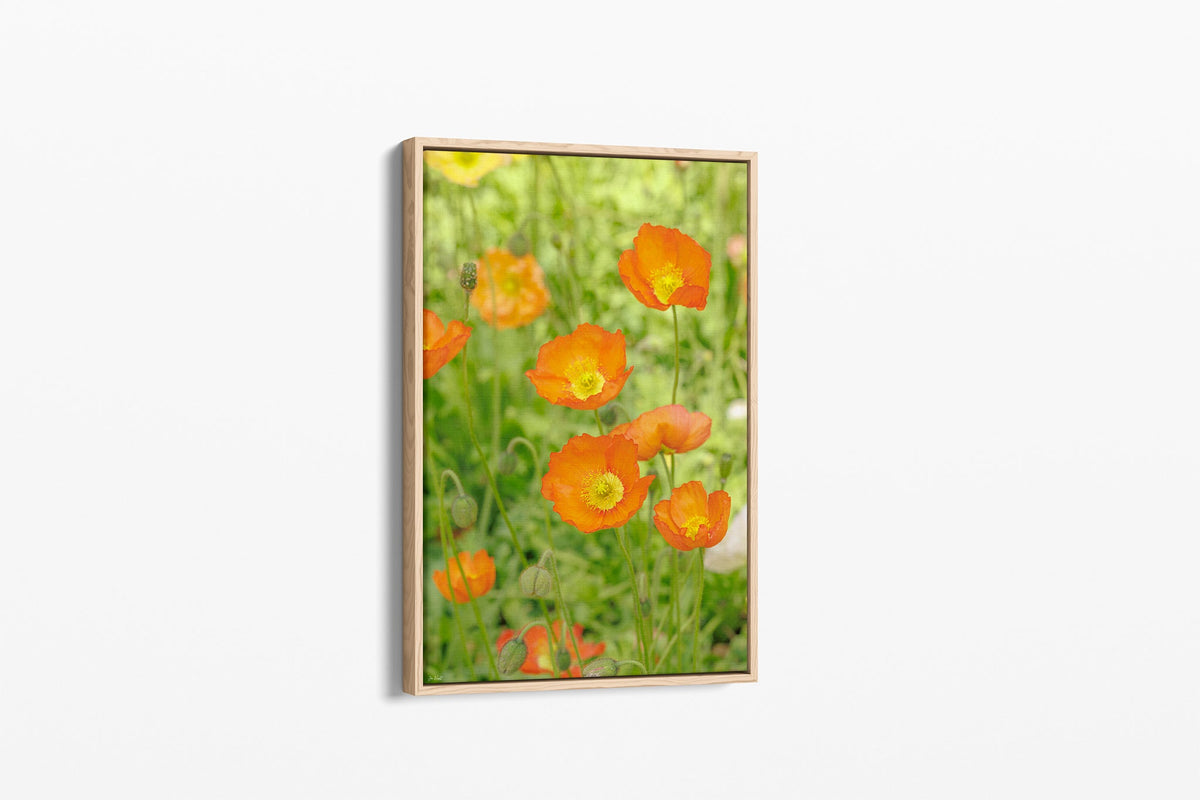 Orange poppy patch print shown as a canvas in an oak float frame.