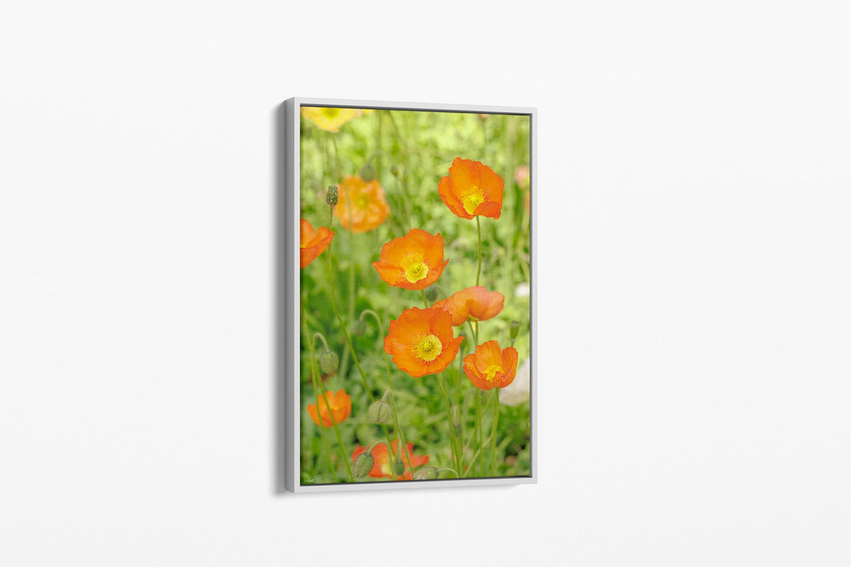 Orange poppy patch print shown as a canvas in a white float frame.