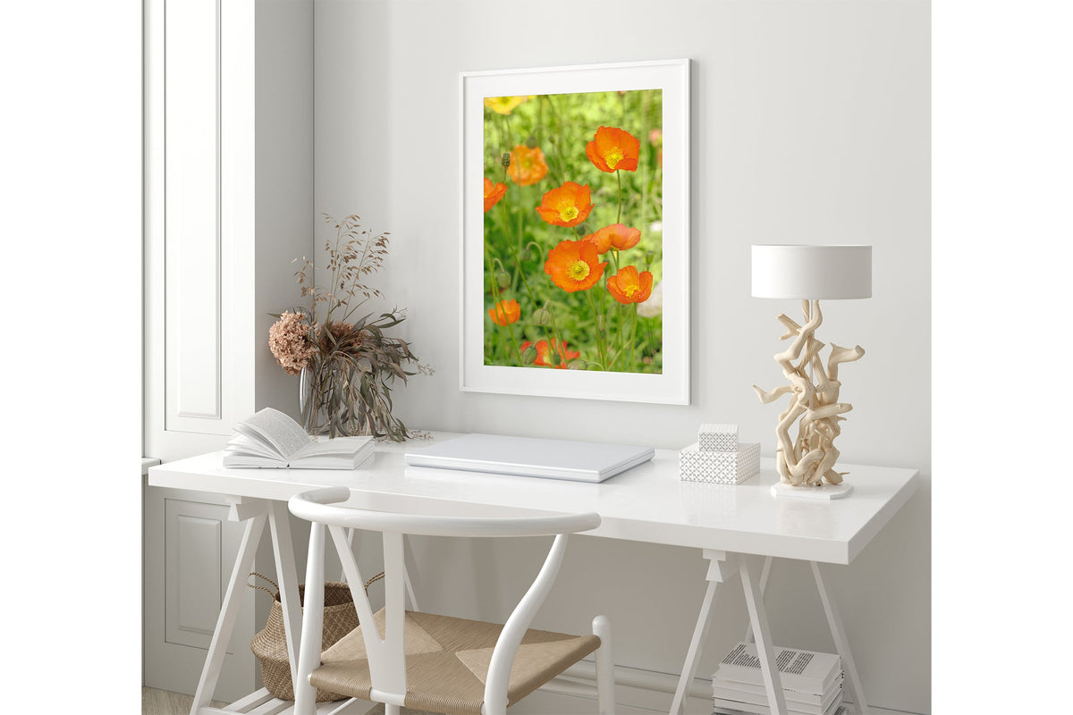 Orange poppy patch print shown framed in white.
