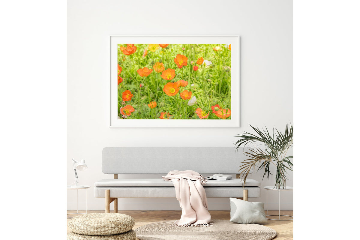 Orange poppy meadow print shown framed in white above a bench seat.