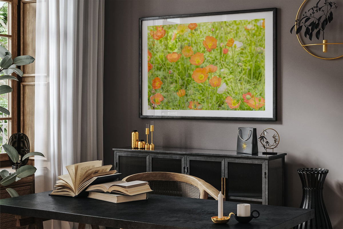 Orange poppy meadow print shown framed in black in a dark room.