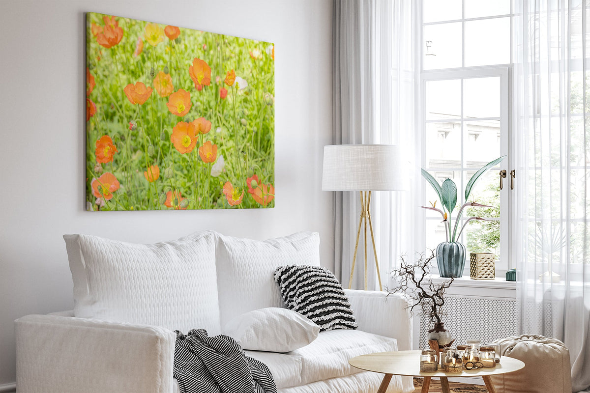Orange poppy meadow print shown as a canvas print in a white room.