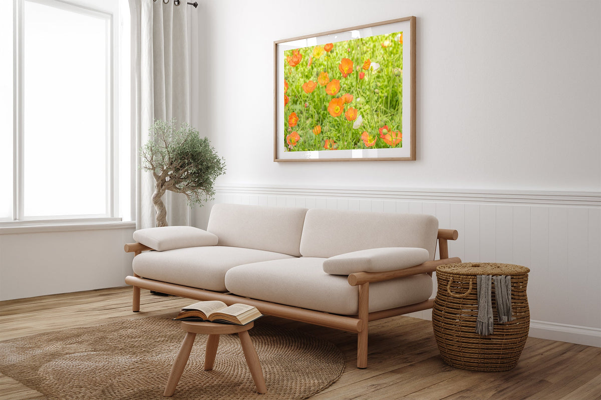 Orange poppy meadow print shown framed in oak above a linen couch.