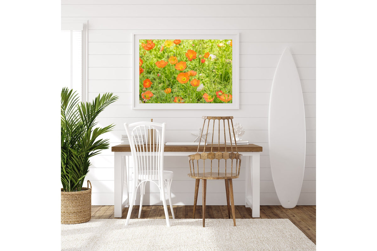 Orange poppy meadow print shown framed in white on a white shiplap wall beside a desk.