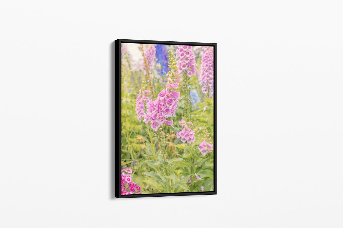 Foxglove light print shown as a canvas in a black float frame.