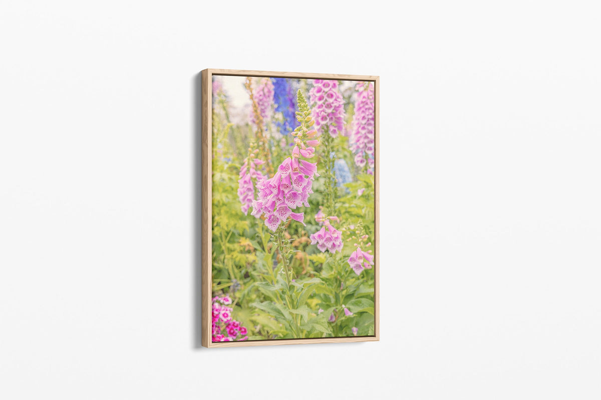 Foxglove light print shown as a canvas in an oak float frame.