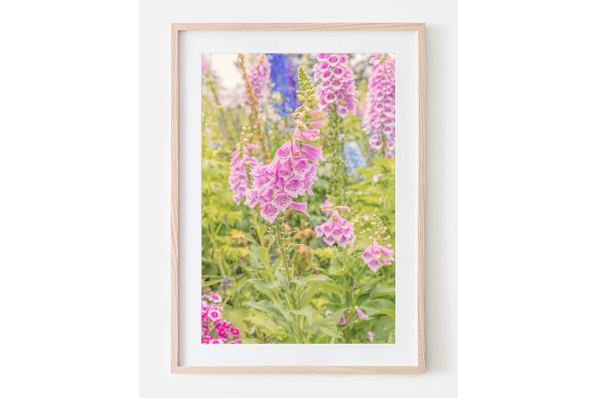 Foxglove light print shown framed in oak with a white mat.