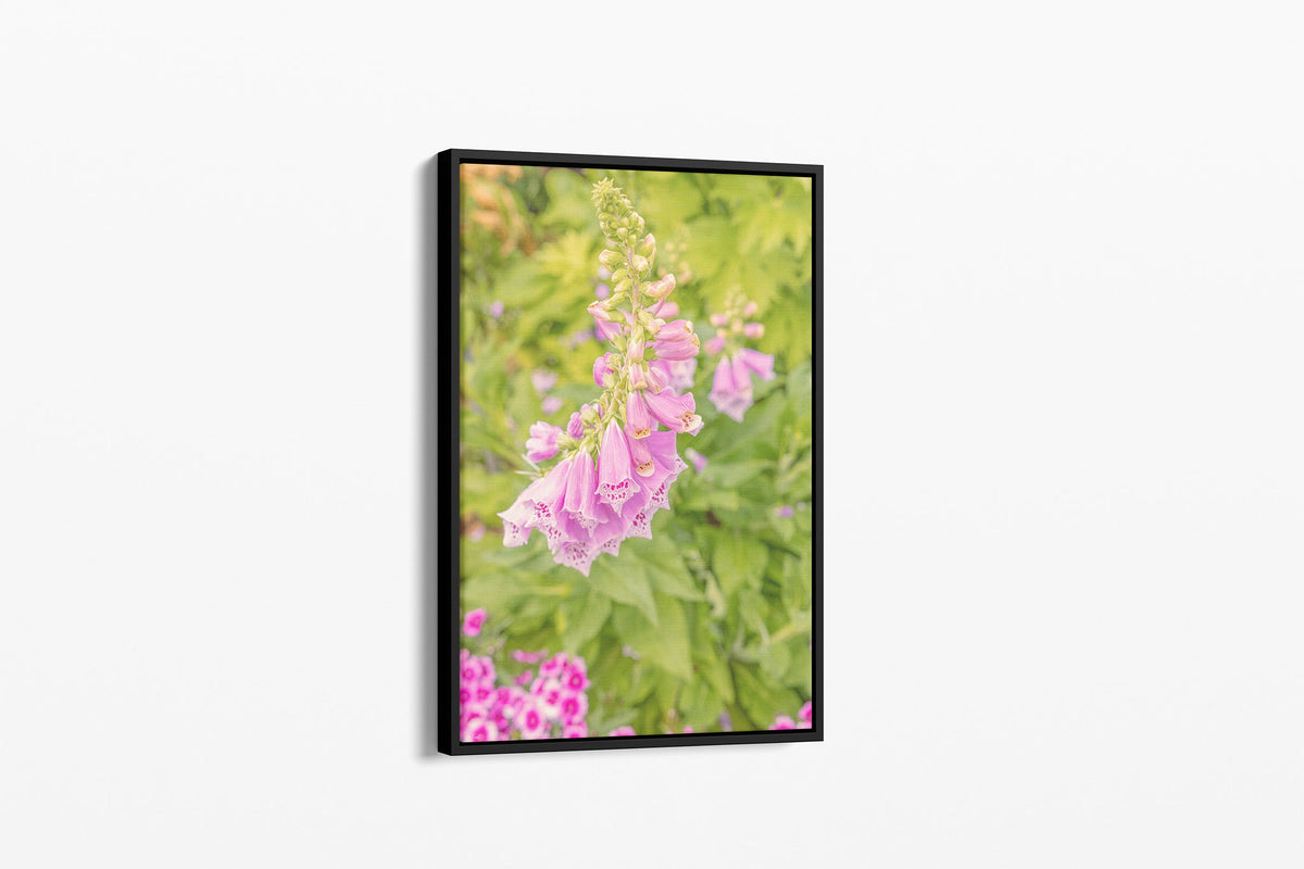 Foxglove bells print shown as a canvas in a black float frame.