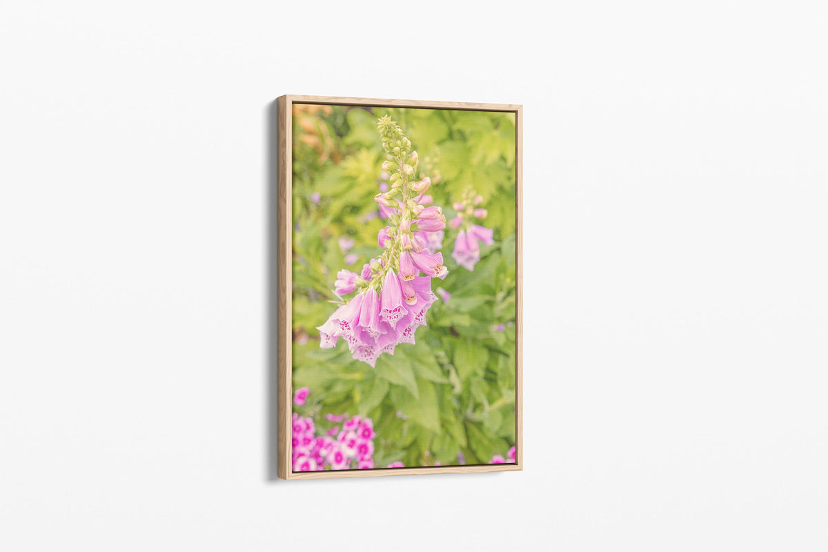 Foxglove bells print shown as a canvas in an oak float frame.