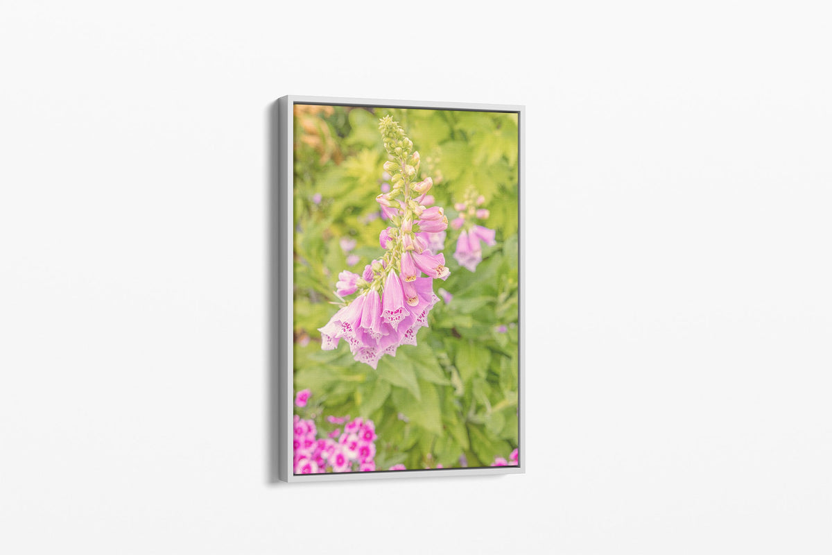 Foxglove bells print shown as a canvas in a white float frame.