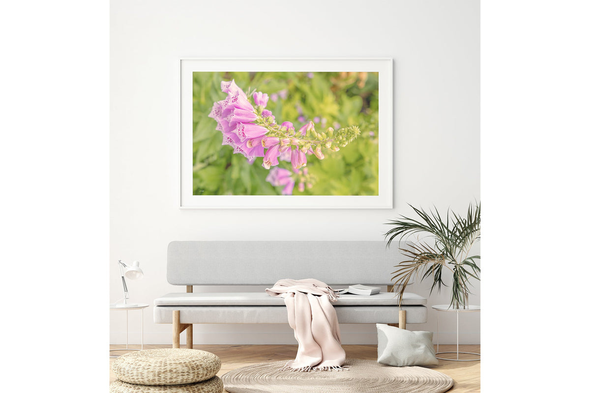 Arching foxglove print shown framed in white above a bench seat.
