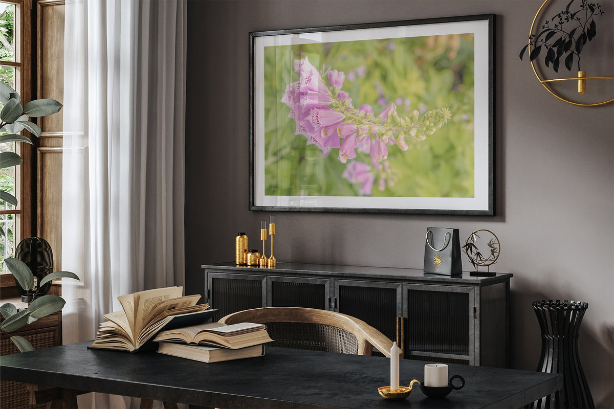 Arching foxglove print shown framed in black in a dark room.