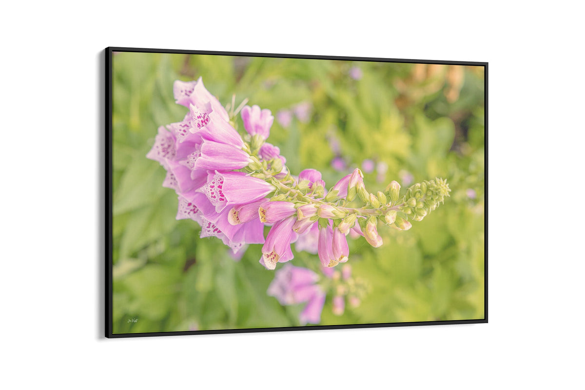 Arching foxglove print shown as a canvas in a black float frame.