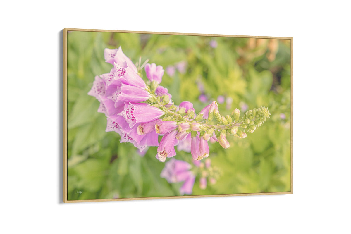 Arching foxglove print shown as a canvas in an oak float frame.