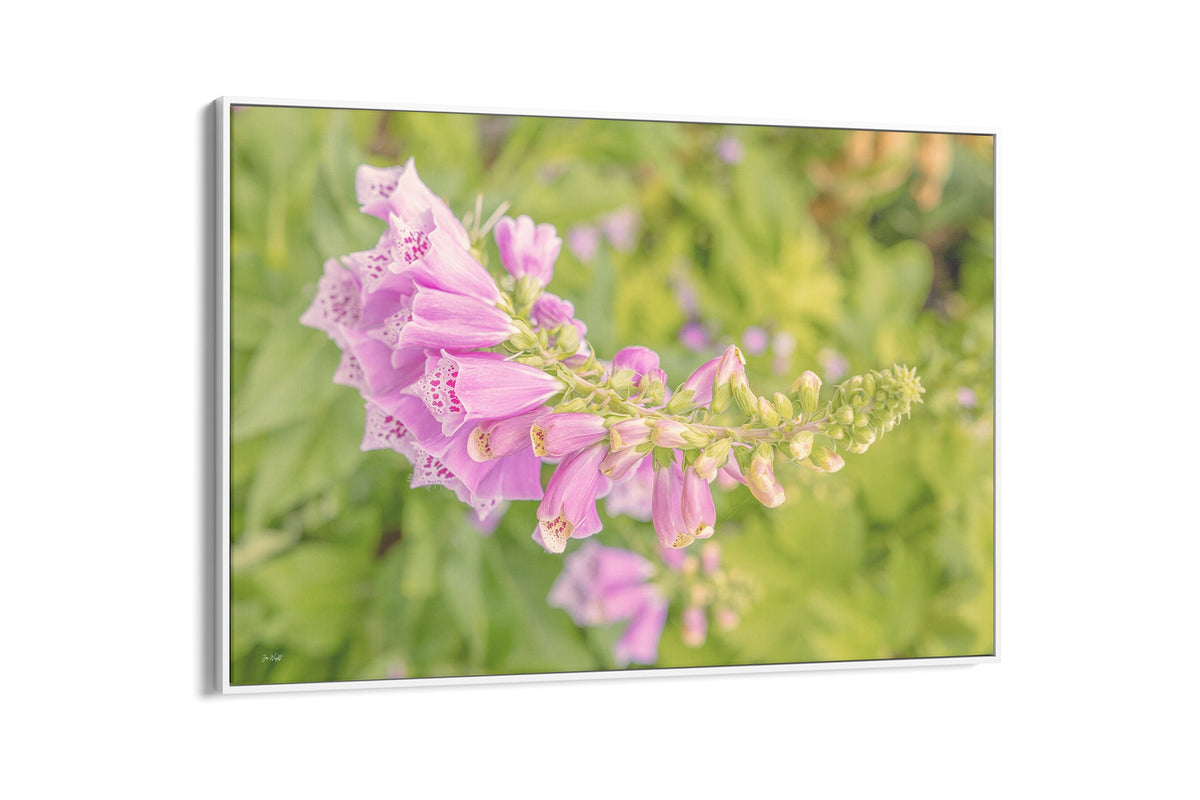 Arching foxglove print shown as a canvas in a white float frame.