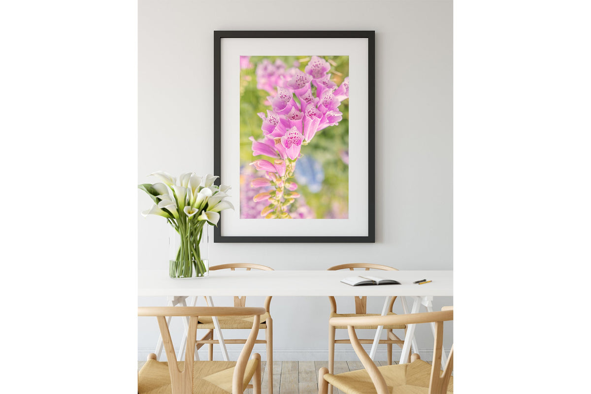 Spotted foxglove print shown framed in black.