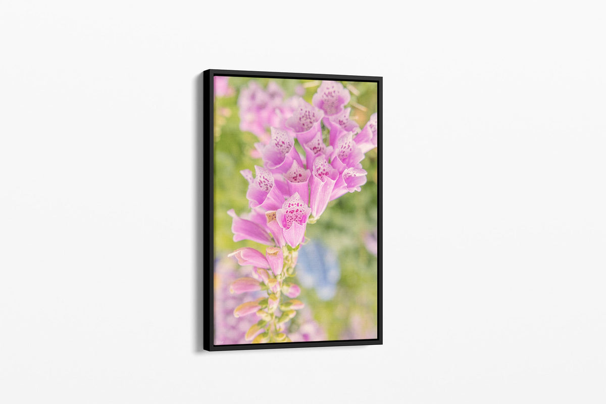 Spotted foxglove print shown as a canvas in a black float frame.