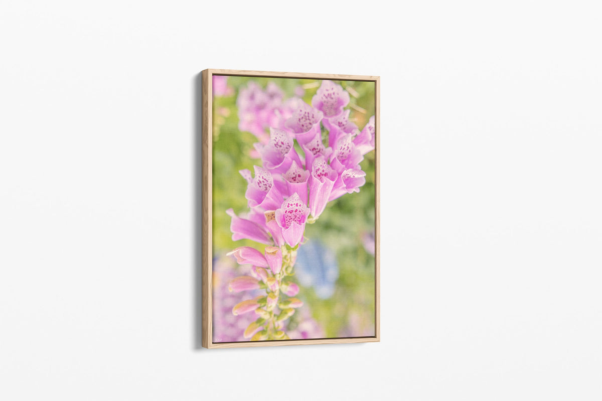 Spotted foxglove print shown as a canvas in an oak float frame.