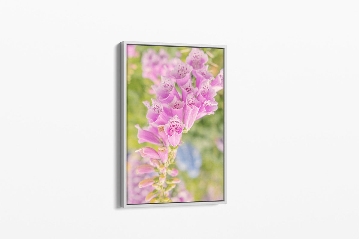 Spotted foxglove print shown as a canvas in a white float frame.