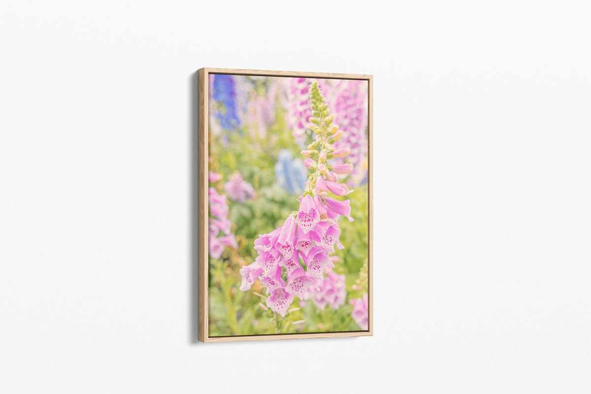 Cascading foxglove print shown as a canvas in an oak float frame.