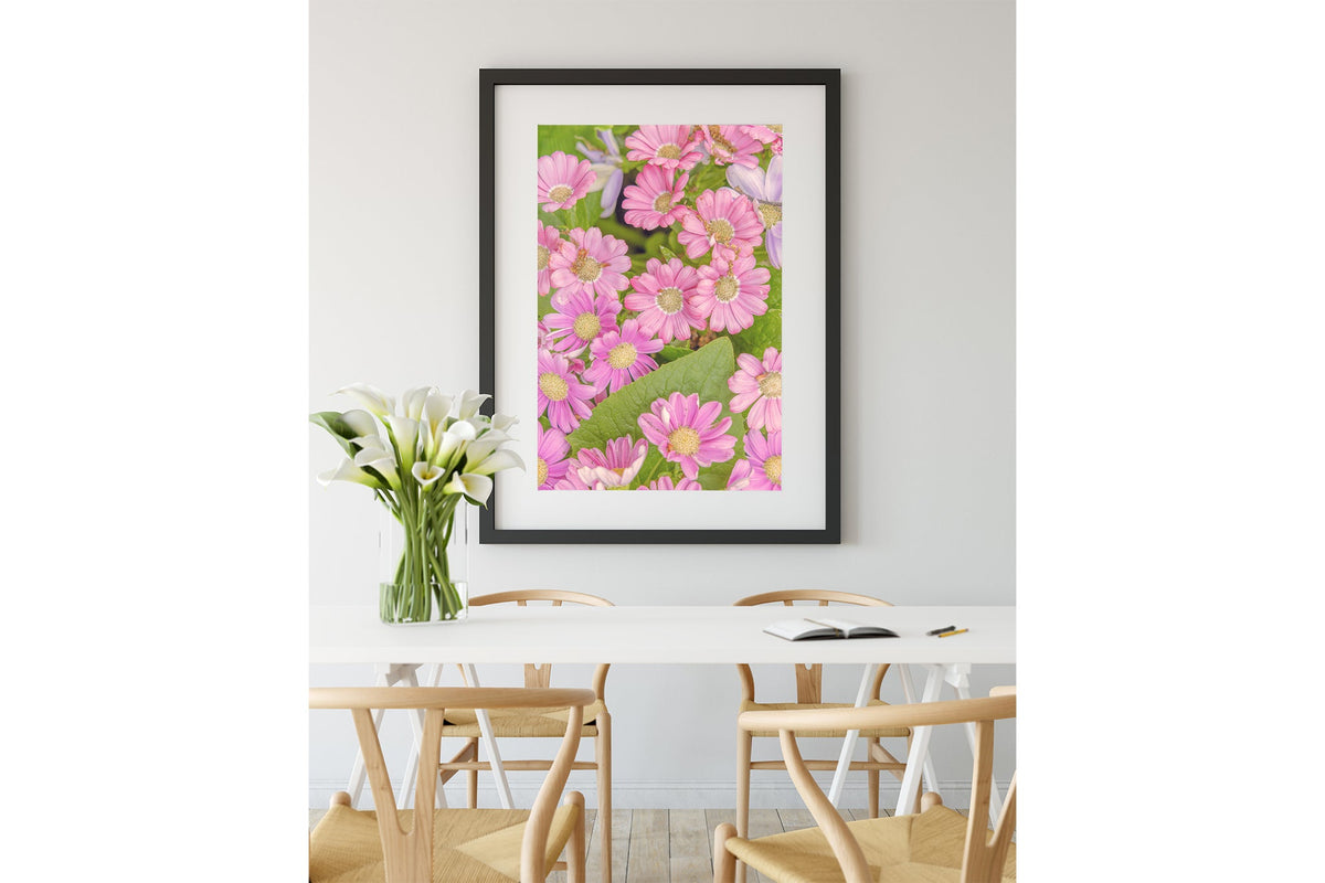 Pink daisy print shown framed in black.