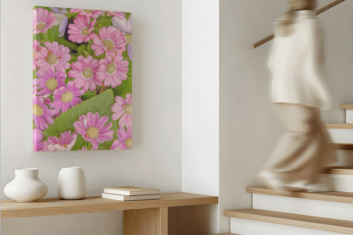 Pink daisy print shown as a canvas print.