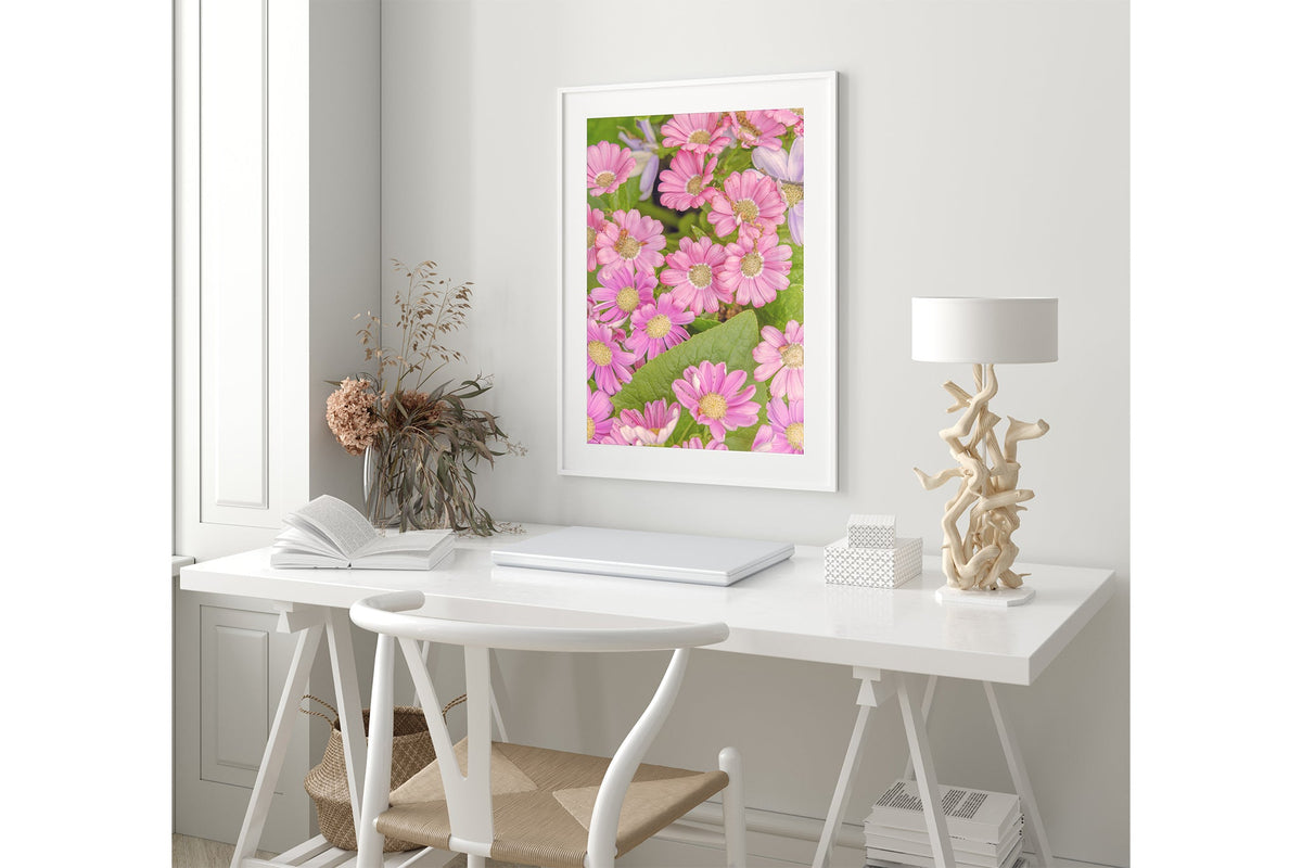 Pink daisy print shown framed in white.