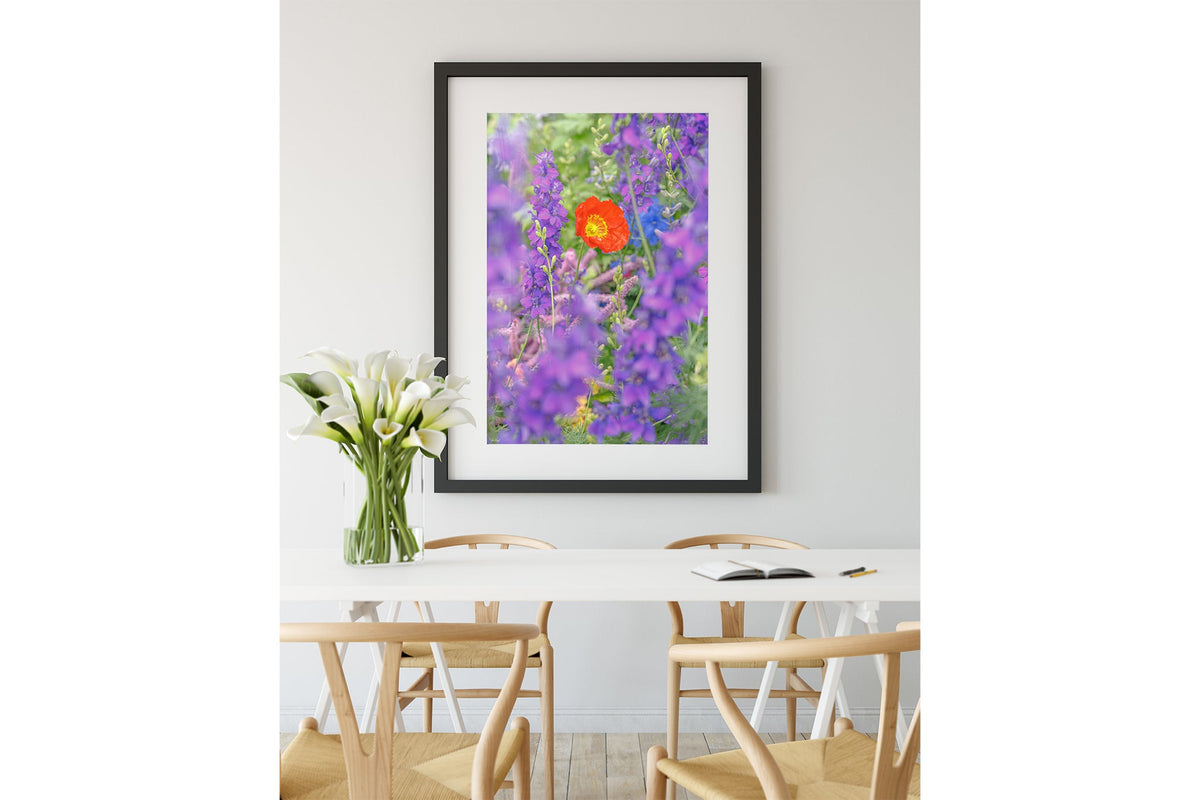 Poppy in larkspur print shown framed in black.