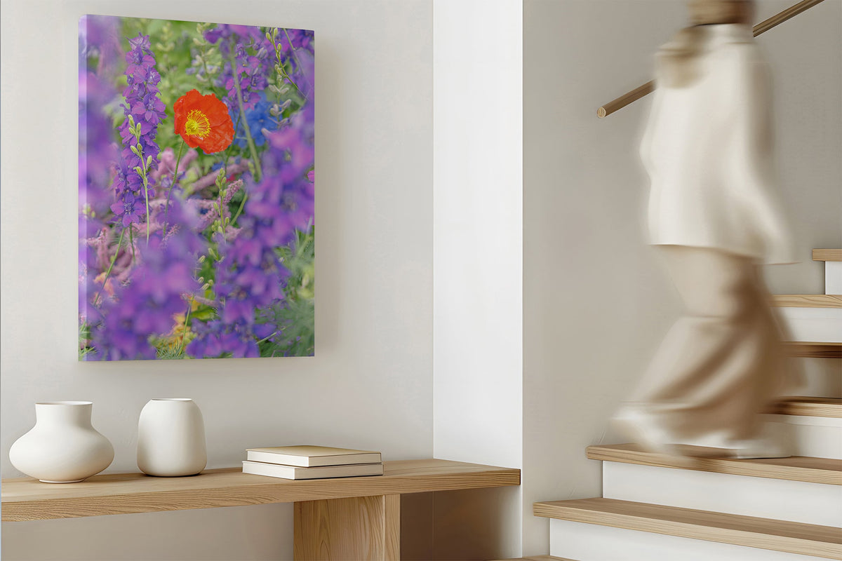 Poppy in larkspur print shown as a canvas print.