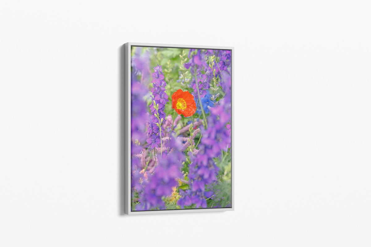 Poppy in larkspur print shown as a canvas in a white float frame.