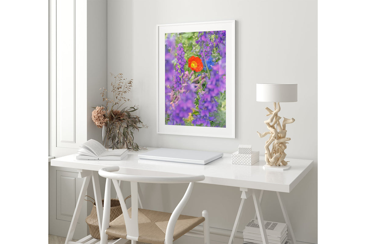 Poppy in larkspur print shown framed in white.
