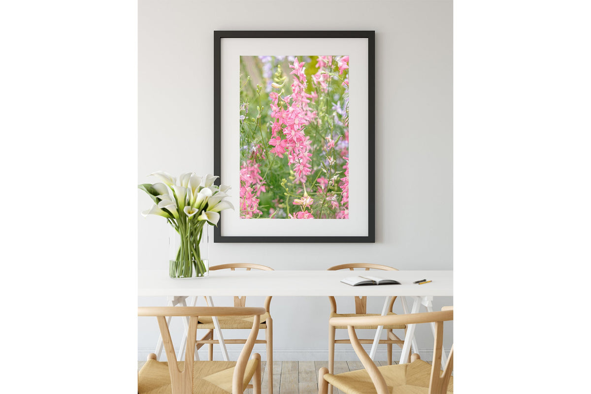 Pink larkspur print shown framed in black.