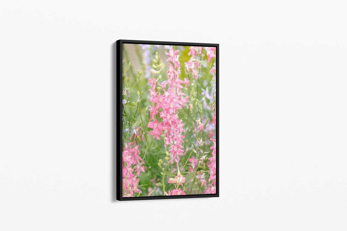 Pink larkspur print shown as a canvas in a black float frame.