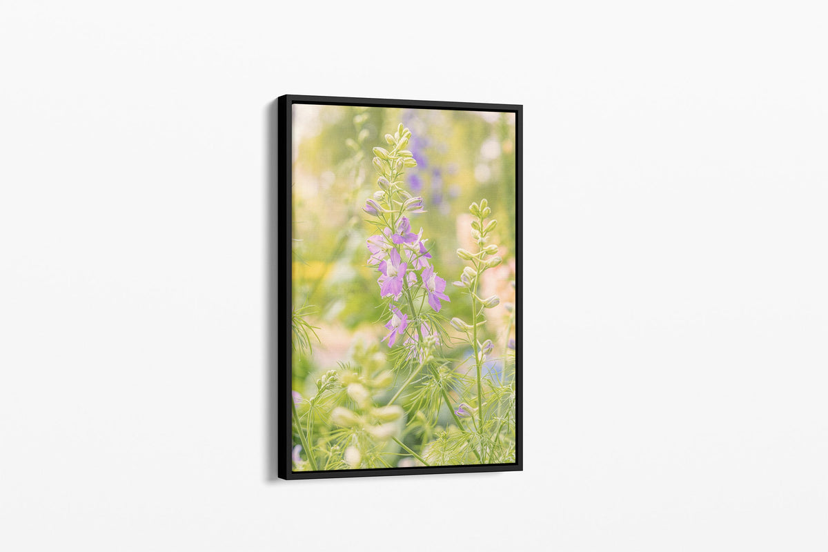 Glowing larkspur print shown as a canvas in a black float frame.