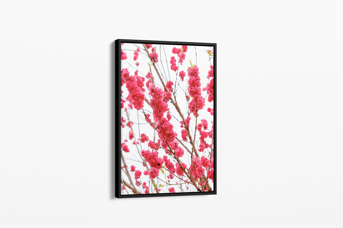 Crimson blossom print shown as a canvas in a black float frame.