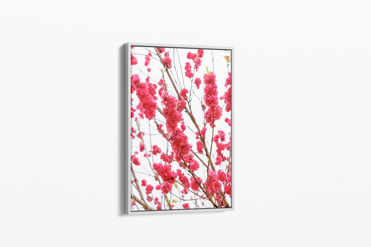 Crimson blossom print shown as a canvas in a white float frame.