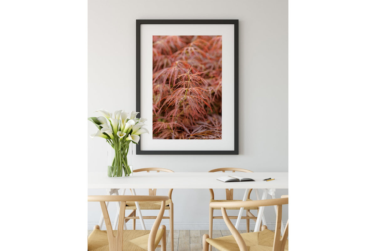 Japanese maple print shown framed in black.
