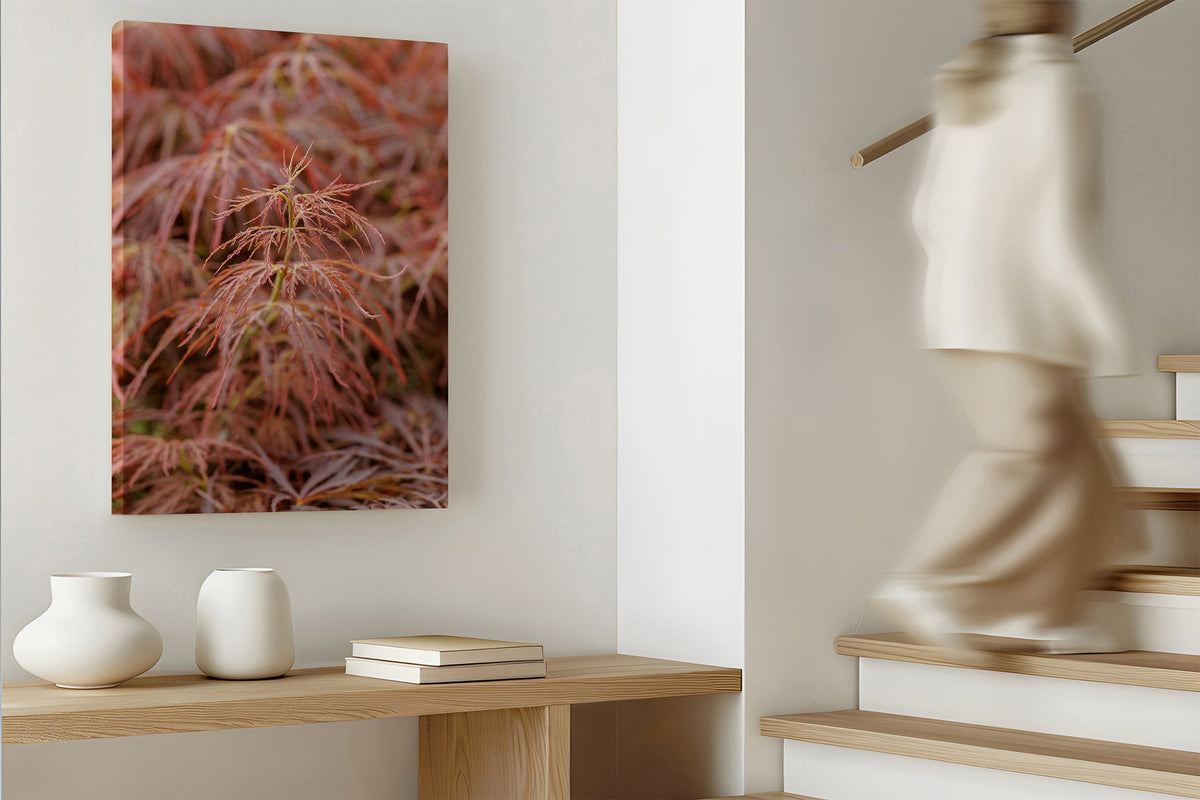 Japanese maple print shown as a canvas print.